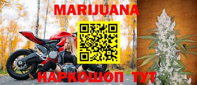 прущие грибы Апшеронск