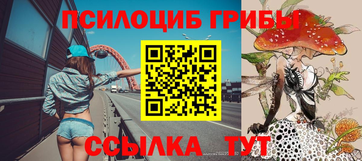Галлюциногенные грибы Psilocybine cubensis  Вход с VPN  Бузулук 