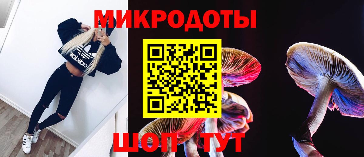 Псилоцибиновые грибы мухоморы Бузулук