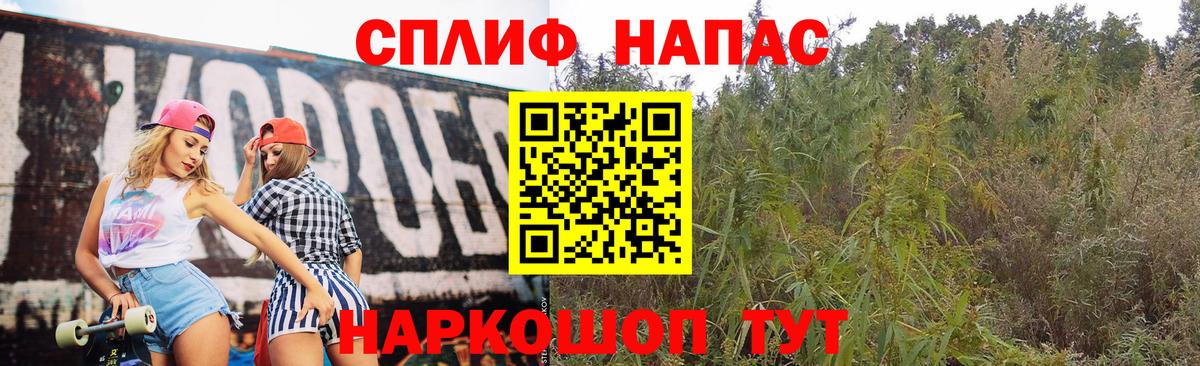 Конопля планчик  Вход с VPN  Каннабис Amnesia  Бузулук  Марихуана VHQ 